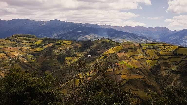 alpen sierra visiting mountainside coffee farms