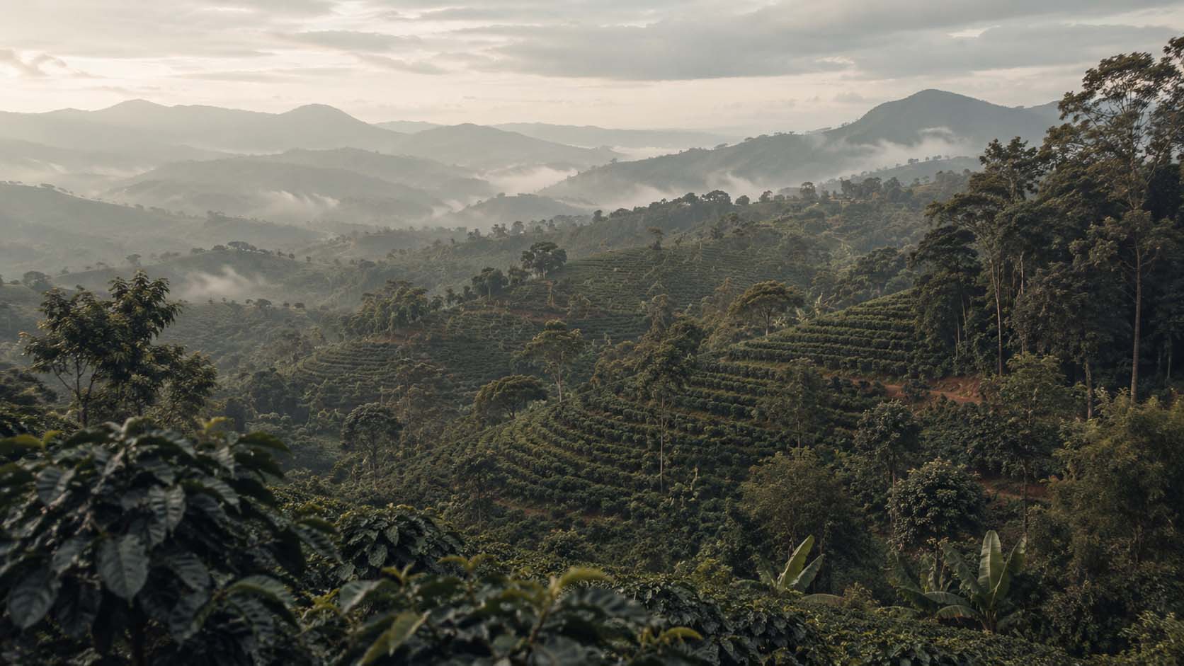 regenerative agriculture